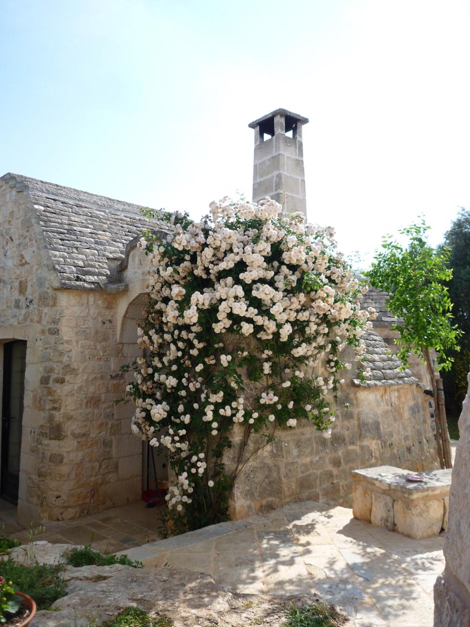 Casa Vacanze Riposo Del Vento Cisternino Extérieur photo