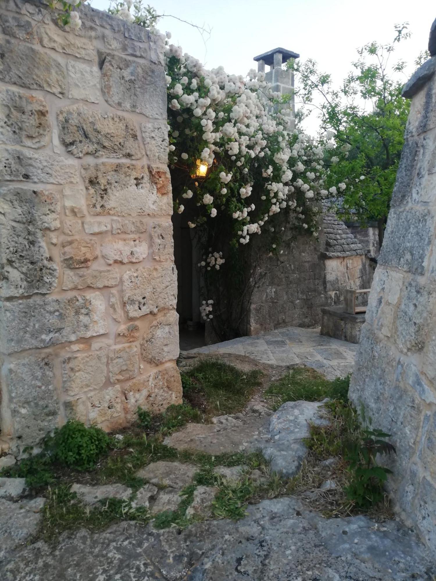 Casa Vacanze Riposo Del Vento Cisternino Extérieur photo